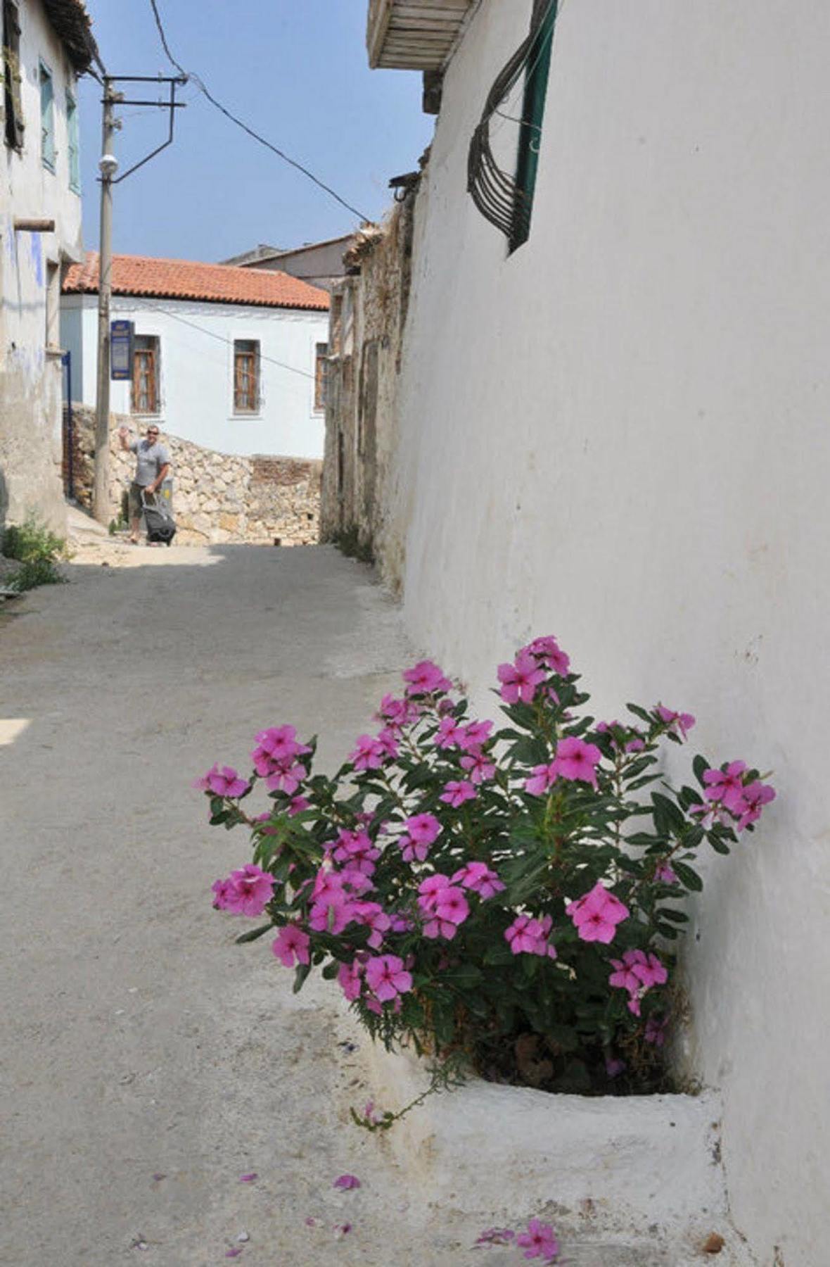 Anzac Golden Bed Pension Kusadası Zewnętrze zdjęcie